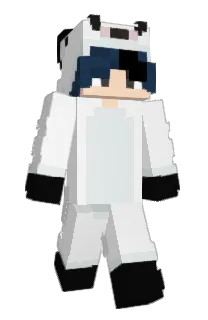 Front of DrthStorm's skin
