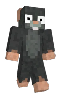 Front of Dimondesu's skin