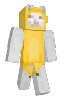 Front of Jinky's skin