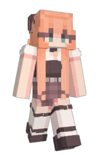 Front of Minecraft skin