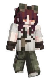 Skin preview