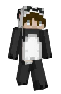 Front of KamiJake's skin