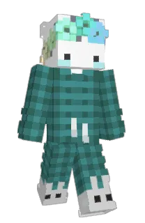 Front of SleepyKoda's skin