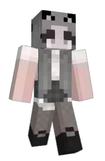 Front of astronotty's skin