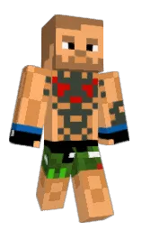Alewation's Minecraft skin wearing the Migrator cape