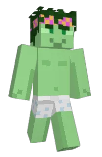 Front of Minecraft skin