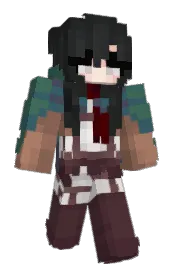 Skin preview