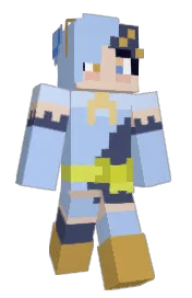 Skin preview