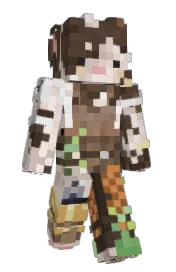 Skin preview