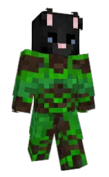 Minecraft skin — Classic model