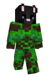 Skin preview