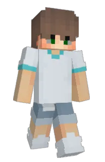 Front of timakekse's skin