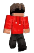 TigerNinja425