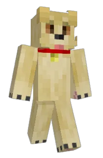 Front of Minecraft skin