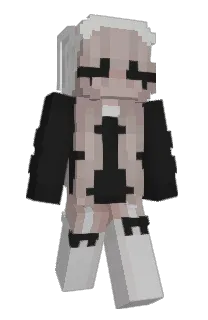Front of niccie's skin