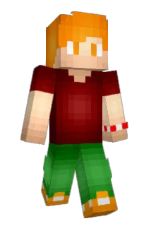 69843 Minecraft avatar full body
