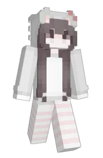 Front of Zentre's skin