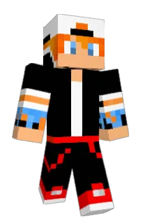 Front of Pakins's skin