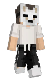 69Brandini69 Minecraft avatar full body