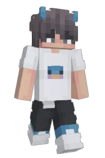 69_Vixo Minecraft avatar full body