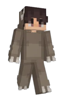 Front of ImSloth's skin