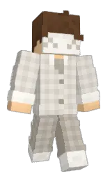 Minecraft skin — Classic model