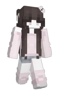 Front of PtakopyskCZ's skin