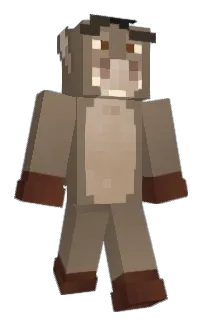 Front of Sammiscool's skin
