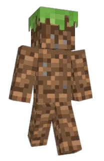 bbqchipslays331's Minecraft skin