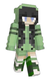 Skin preview