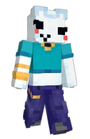 Skin preview