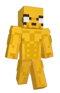 Front of FerranixMynaGX's skin