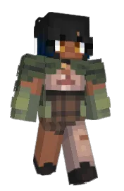 Skin preview