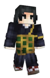Skin preview
