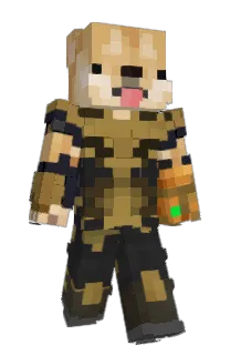 Front of Nimpoo's skin