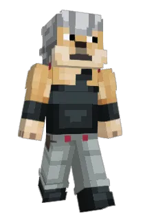 Front of ObdachlosenEsser's skin