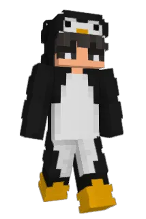 6B12 Minecraft avatar full body