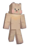 6UDDY Minecraft avatar full body