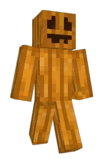 6U_U9 Minecraft avatar full body