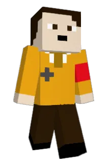 6_Adience_9 Minecraft avatar full body