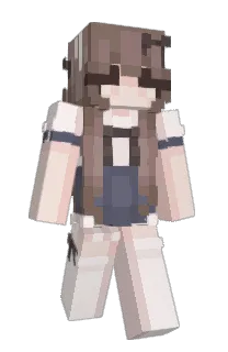 sky1212's Minecraft skin