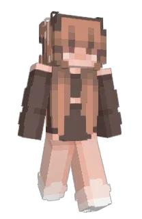 farlopin's Minecraft skin