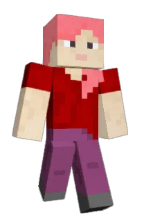 Front of Discoo's skin