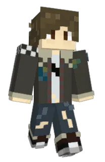 Front of Twizip's skin