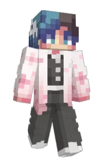 Front of conemex's skin