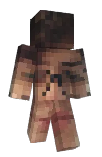 Front of chisitos's skin