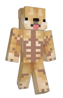 Front of somethinglance's skin