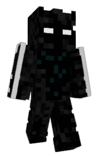 expressbird8594's Minecraft skin