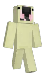 MetroPoof's Minecraft skin wearing the Migrator cape