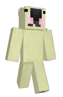 Front of Minecraft skin